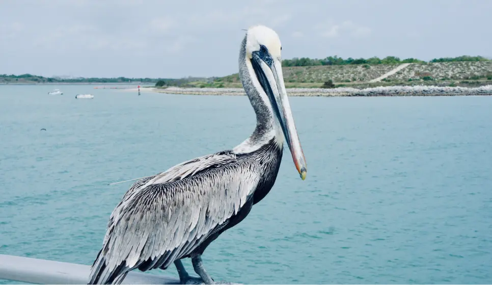 image of St. Petersburg